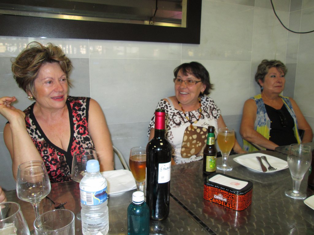 2015 06 06 et 07  APNA A DALIAS ALMERIA  (2).JPG -                                